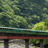 2024GW 新緑の久大本線を行くキハ71系ゆふいんの森
