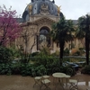 2月の雨に濡れた中庭「プティ・パレ美術館」　　春もすぐそこ