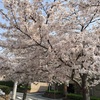 【伊丹】笹原公園へお散歩＆伊丹市の菓匠「寳樹庵」さん✨