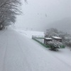 雪やこんこん♪