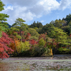 秋の長谷池 -神戸市立森林植物園-