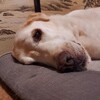 秋、荒ぶる翁
