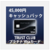 TRUST CLUB プラチナ Visaカードはどのポイントサイト経由がお得なのか比較してみた！