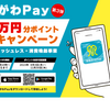 最大20%還元！誰でも使える「かながわPay第3弾」の主な実施店舗と利用可能決済を紹介