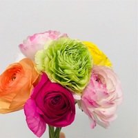 花の種類が多い 安い 長持ちする 春の花を集めてみた はなめも 花屋のメモ帳 花の種類が多い 安い 長持ちする 春の花を集めてみた はなめも 花屋のメモ帳