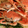松葉ガニ（ズワイかに）・セコ蟹（雌ズワイガニ）・香住カニ（紅かに）の違いは？