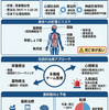 神経性やせ症（神経性食欲不振症・AN）の診断・治療｜DSM-5基準と難治例対応