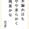 木漏れ日もやや柔らかく残暑かな