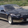 Z31