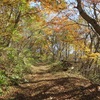 移ヶ岳/養拙 2021年11月3日