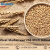  Global wheat market shall reach US$ 502.88 Billion by 2030, Size, Share, Outlook | Renub Research