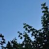 ６３０．抜けるような青空