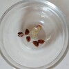 子どもは忙しくしていても一日が長く感じるのか？