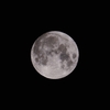 「月(満月)」の撮影　2021年10月20日(機材：ミニボーグ50FL、E-PL5、ポラリエ)