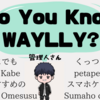 【WAYLLYの使い方】愛用歴3年の僕が本当に役立つ５つの使い道を解説