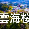 『DJI Googles Japan 雲海桜』話題のドローン空撮 [初公開] 