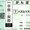 ソエの影響か今日は弾まず８着