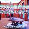 ブラジル先住民の椅子／東京都庭園美術館＠アートシーン