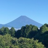 今朝の景色