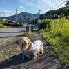 藤原湖カヤック