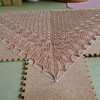 コルトレイクリネンソフィーでSwallowtail Shawl