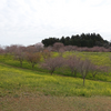 小宅古墳群・前編　栃木県芳賀郡益子町小宅