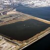 造成地と鳥の楽園　共生の道探り出したい