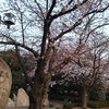 散歩（県立都市公園・水島緑地）