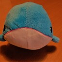 かたずきブログ