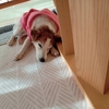 てっちりくんの1日