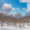 ◆'25/02/15　鳥海山・開拓登山口～滝ノ小屋⑥