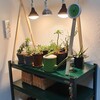 植物ライトスタンドをDIY