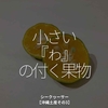 1537食目「小さい『ゎ』の付く果物」シークヮーサー【沖縄土産その3】