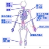 右手首が動かない理由が右の骨盤の脱臼