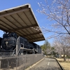 北総線と鎌ケ谷の市制記念公園の桜