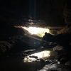 ニュージーランドの洞窟探検！？Waipu Cavesに行ってみた！！①