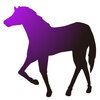 【追い切り注目馬】【ジャパンC】【アーモンドアイC】【アプローズ賞】他　2024/11/24(日) 東京競馬　全ては糧に