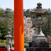 吉田神社（よしだじんじゃ）