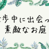 【素敵な庭】散歩中に出会った素敵なお庭。多肉植物だけでここまでオシャレにできるんだ。