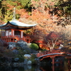 名古屋・大津・嵐山の紅葉めぐり旅11〜醍醐寺〜