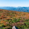 天馬尾根の紅葉