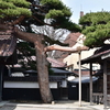 「変愛小説集」岸本佐知子編訳