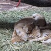 バイクで訪園館：那須どうぶつ王国