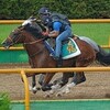 モーリス全弟ルーカスが強力メンバー集う札幌で初陣