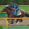 モーリス全弟ルーカスが強力メンバー集う札幌で初陣