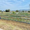 おかばる花公園