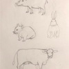 絵の練習 動物 イノシシからウシ 人体 ルーミス先生