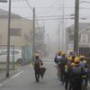 雨上がりの朝の登校を見守るスイセンの花