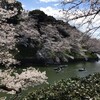 千鳥ヶ淵、中板橋、新宿御苑、上野公園（お花見をまとめて。4月1日〜4月4日）