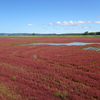 能取岬・サンゴ草群生地・モヨロ貝塚、そして清里町（HOKKAIDO LOVE６日間周遊パス_2日目）